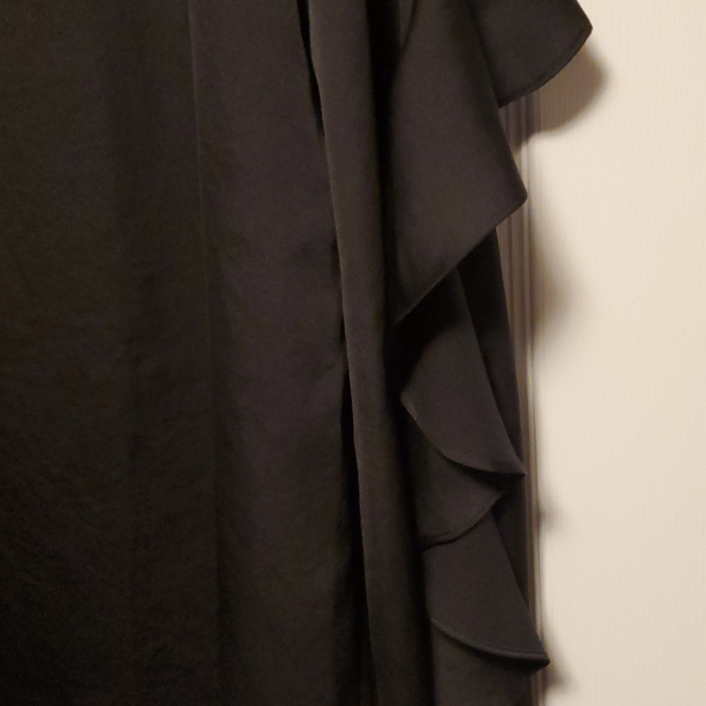 Wisp Ruffled Sleeve Blouse - Picture 4 of 4